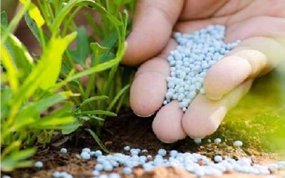 طرح احداث واحد تولید اوره آهسته رهش